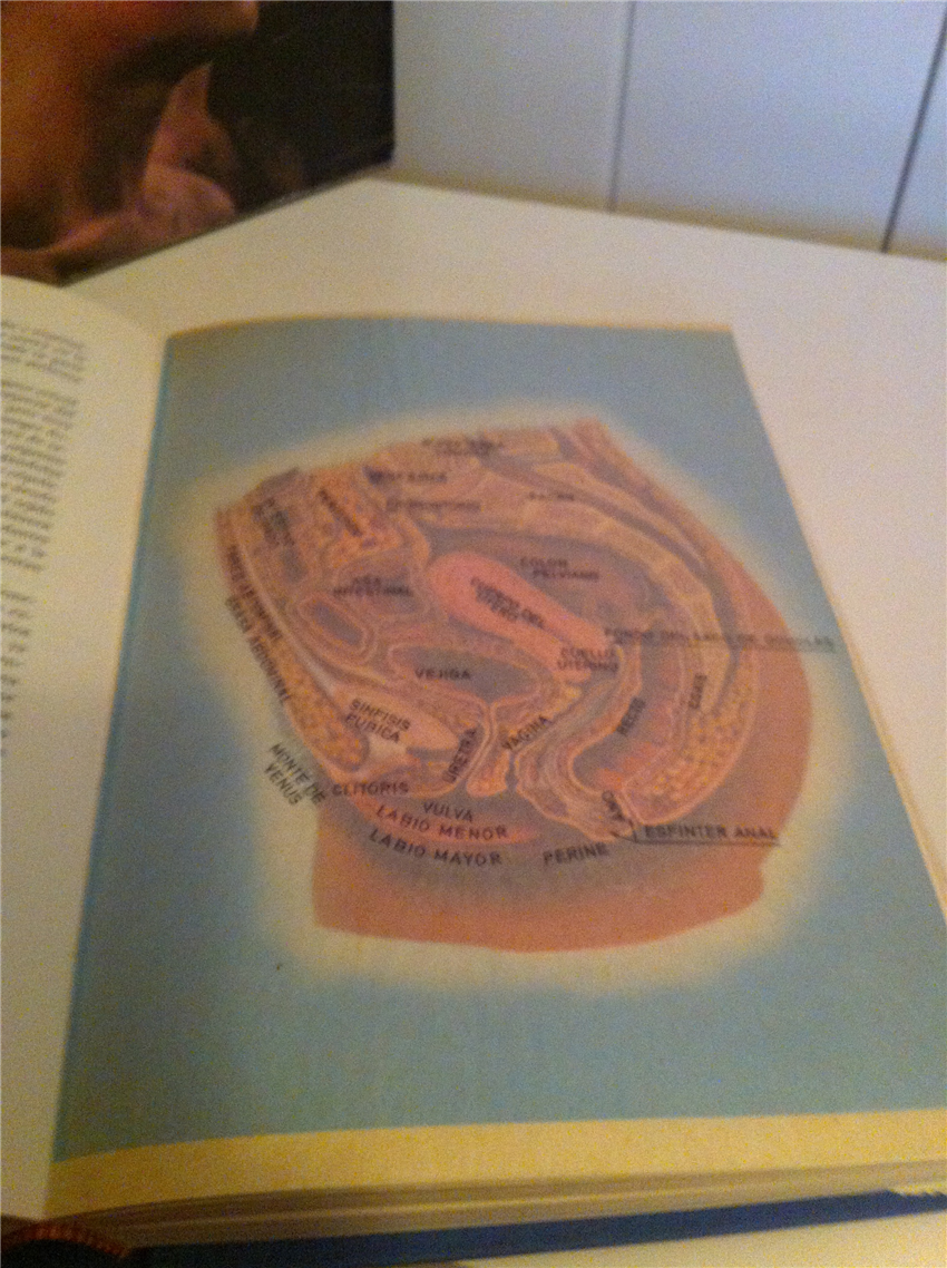 EL LIBRO DE LA VIDA SEXUAL -- Doctor Lopez Ibor España, este ejemplar es de 1969 ( con caja)