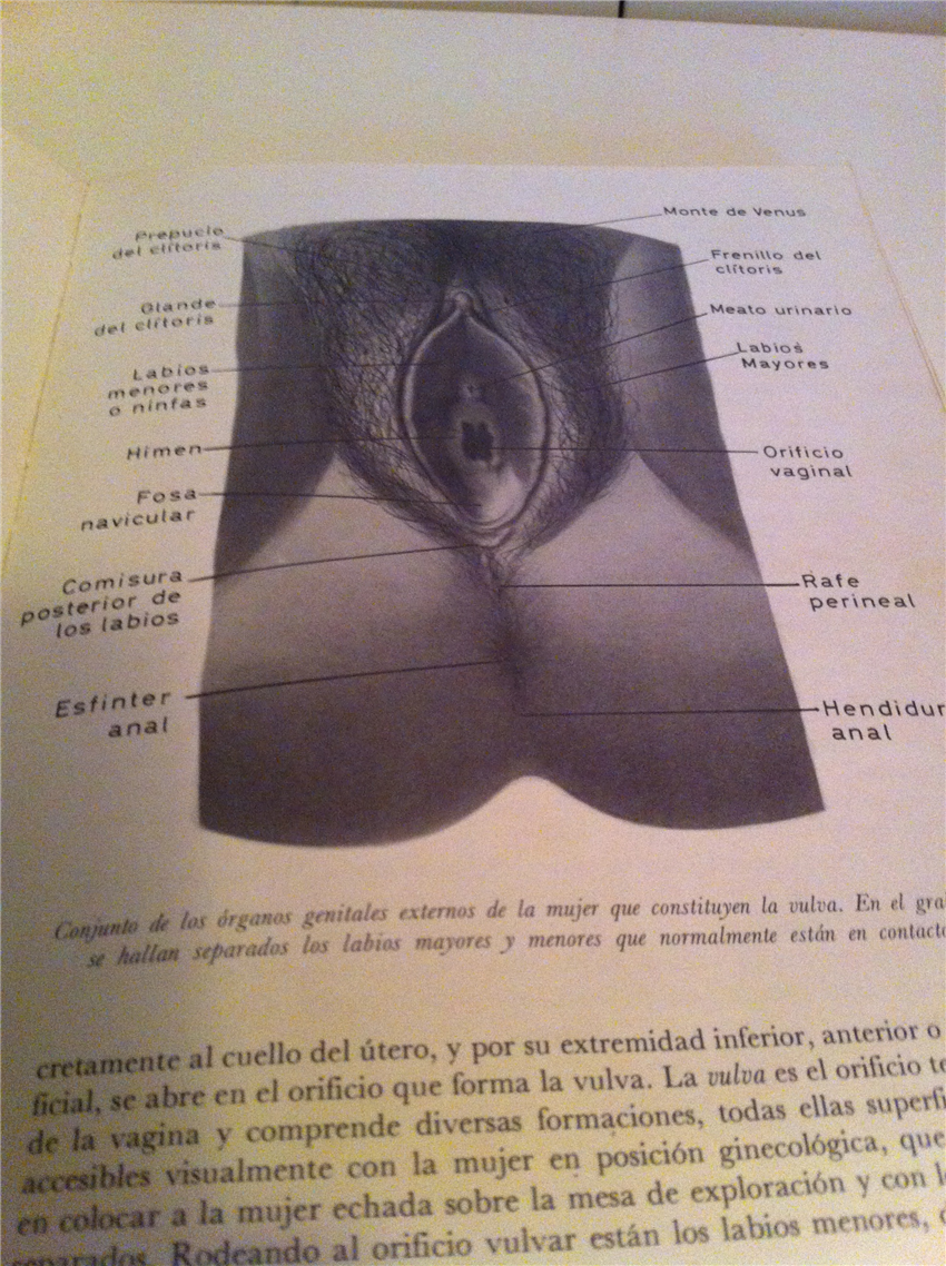 EL LIBRO DE LA VIDA SEXUAL -- Doctor Lopez Ibor España, este ejemplar es de 1969 ( con caja)